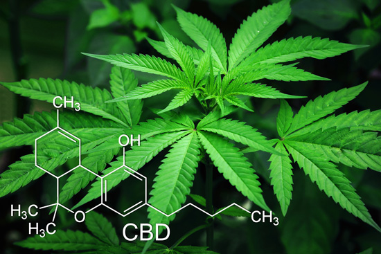 Kan medicinsk cannabis helbrede?