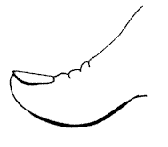 zoneterapi